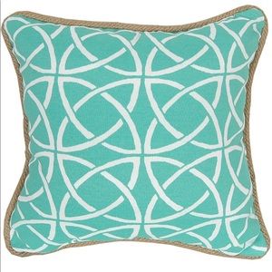 Aqua & White Decorative Accent Pillow